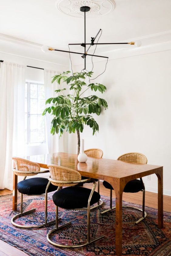 large indoor tree in a dining room