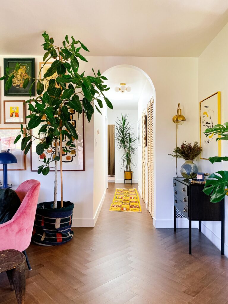 large plants in a hallway