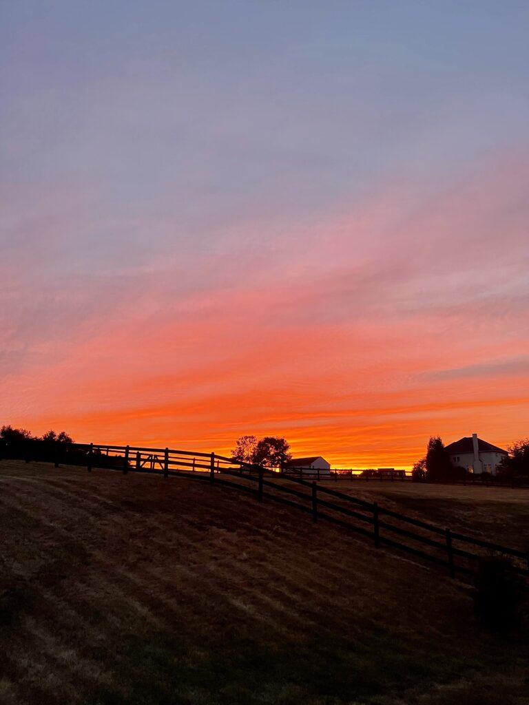 what your camera roll says about you-sunset in the country